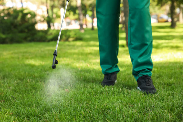 Best Ant Control Services  in Alhambra, CA