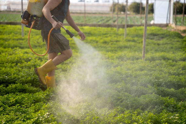 Best Mosquito Control Services  in Alhambra, CA