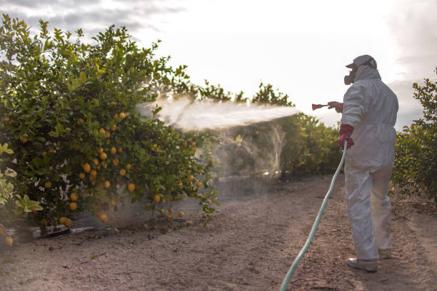 Best Pest Prevention Services  in Alhambra, CA