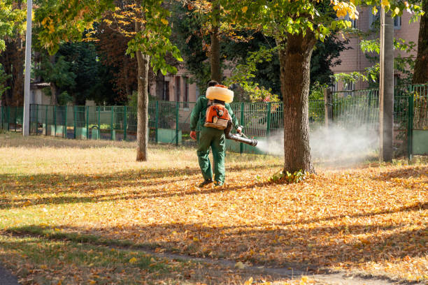 Best Affordable Pest Control Services  in Alhambra, CA