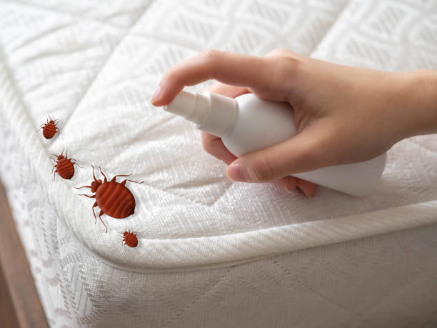 Pest Control for Restaurants in Alhambra, CA