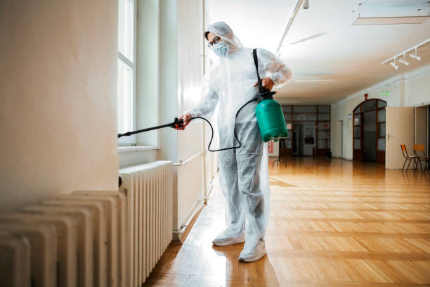 Best Termite Control Services  in Alhambra, CA